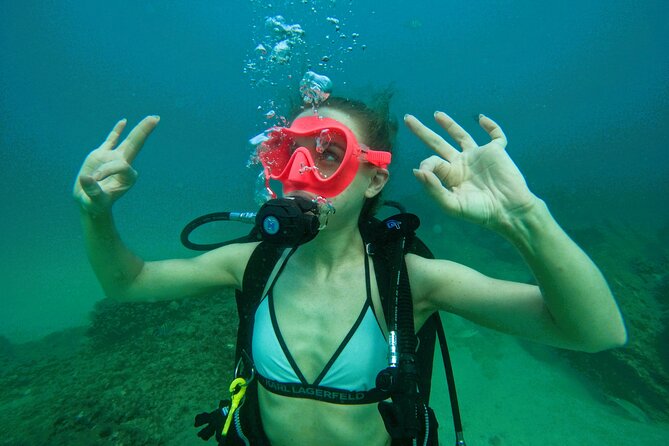 Try Scuba Diving & snorkeling with BBQ lunch & Transfer - Snorkeling beside the scuba group