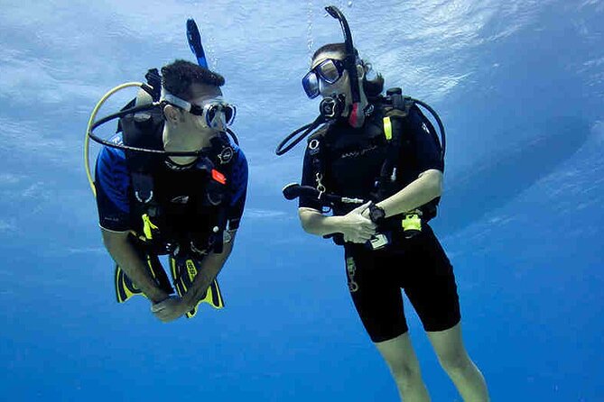 Try Scuba Diving & snorkeling with BBQ lunch & Transfer - The boat, facilities, and time between sessions