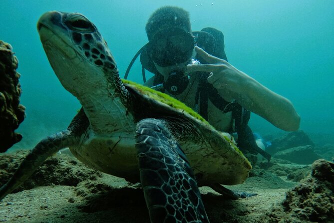 Try Scuba Diving & snorkeling with BBQ lunch & Transfer - How professional is the instruction?