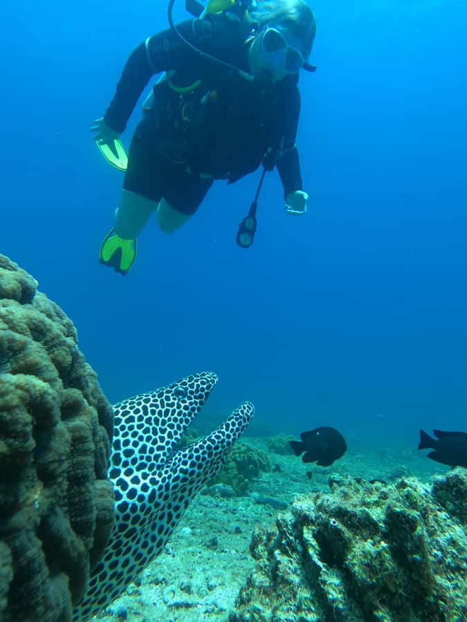 Try scuba Diving Tours To Daymaniyat Islands. - Why the Daymaniyat Islands make a good first underwater trip