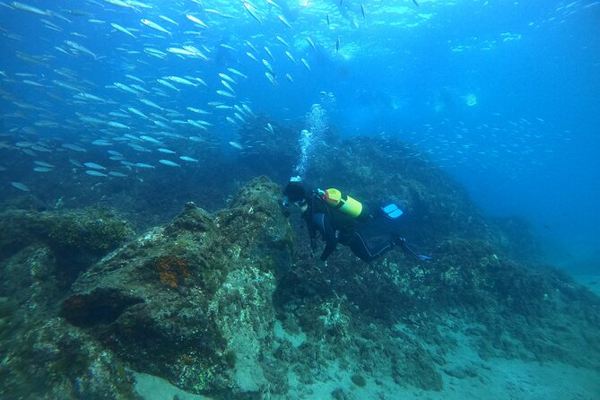 Try Scuba Diving with 2 Ocean Dives - The first 40-minute session at 5 meters
