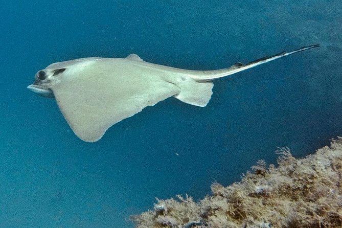 TRY SCUBA DIVING with a Dedicated Instructor - Taking the boat to the dive site