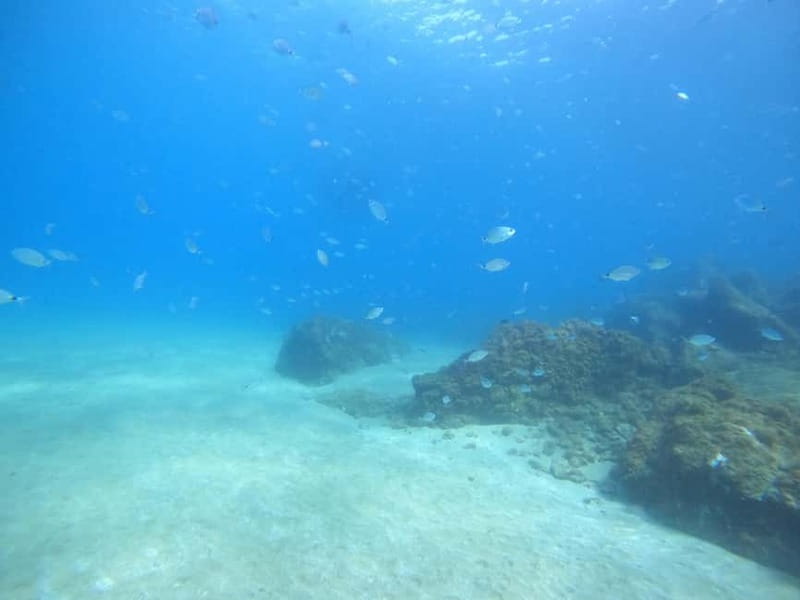 TRY SCUBA - Experience for beginners - What your two hours in Lanzarote look like