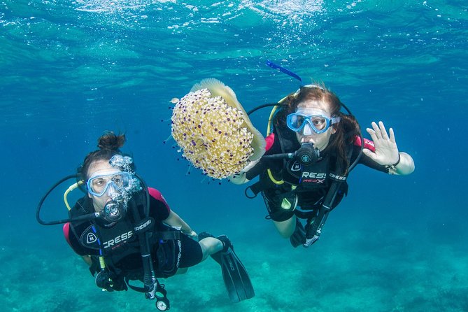 Try Scuba in Crete – Free Certification & Photos (Beginners) - What the three-hour outing is really like