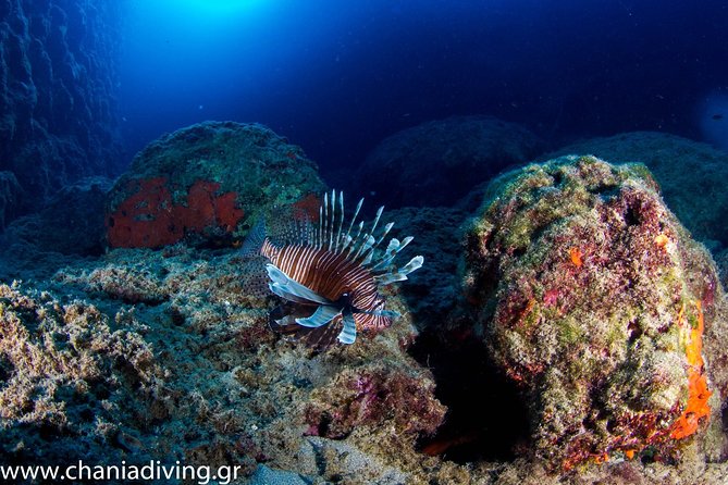Try Scuba in Crete – Free Certification & Photos (Beginners) - Instructors, safety, and the value of personal attention