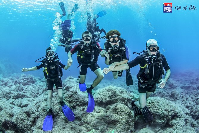 Try Scuba in Crete – Free Certification & Photos (Beginners) - A gentle first taste of Crete below the surface