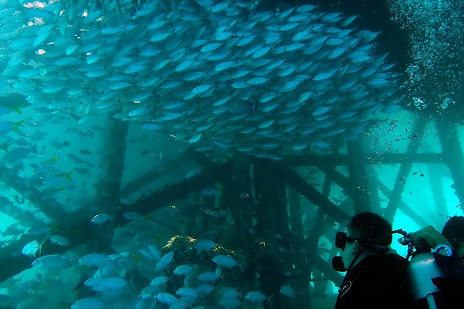 TRY SCUBA (non diver) - What the $122.25 price includes
