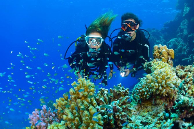 Tulamben Diving Tour Shipwreck USS Bali - Why the USS Liberty makes this trip special