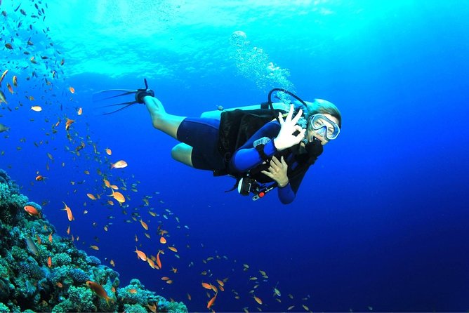 Tulamben Diving Tour Shipwreck USS Bali - Two 35-minute underwater sessions