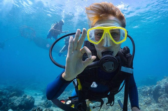 Tulamben Diving Tour Shipwreck USS Bali - Who will enjoy this outing most