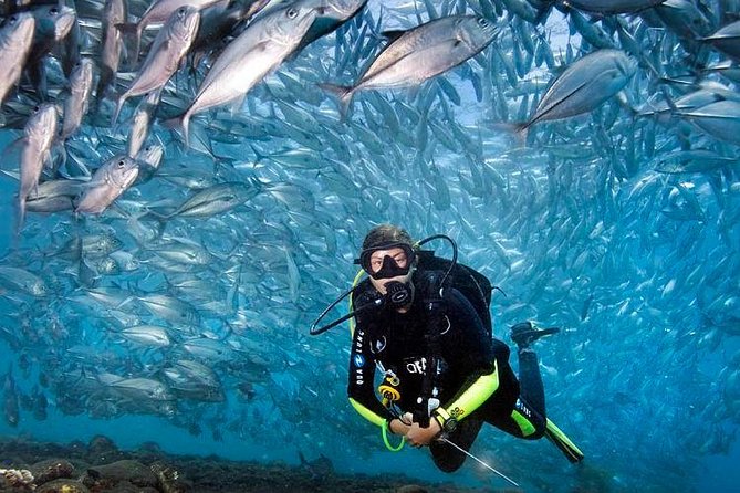 Tulamben Diving Tour Shipwreck USS Bali - Practical details that affect your day