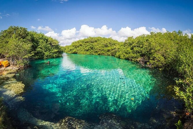 Tulum Area Experiences Guided 2 Tank Scuba Dive Casa Cenote & Barrier Reef-Lunch - Equipment, facilities, and the no-frills reality