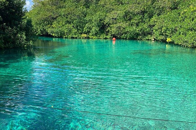 Tulum Area Experiences Guided 2 Tank Scuba Dive Casa Cenote & Barrier Reef-Lunch - Is $209.95 a fair price?