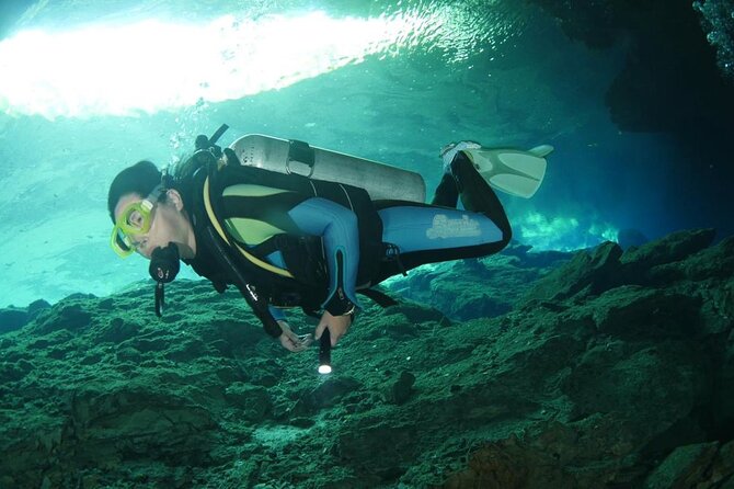 Tulum Area Experiences Guided 2 Tank Scuba Dive Casa Cenote & Barrier Reef-Lunch - Casa Cenote: freshwater with an ocean connection