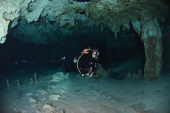 Tulum cenote diving. The ultimate experience in scuba - Two underwater routes and the Bat Cave
