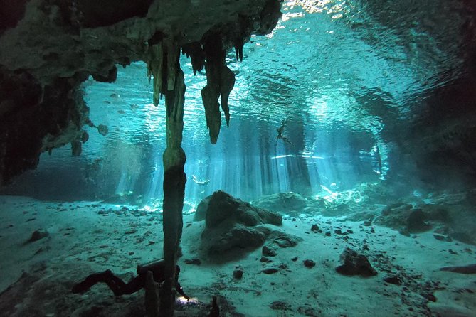 Tulum cenote diving. The ultimate experience in scuba - Lunch, drinks, and the overall value