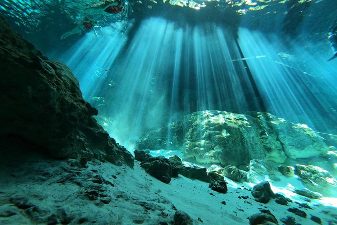Tulum cenote diving. The ultimate experience in scuba - What happens from the 8 a.m. pickup onward