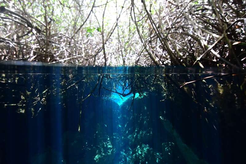 Tulum: Discover Scuba Diving in Cenotes - The 30-minute class: safety before scenery