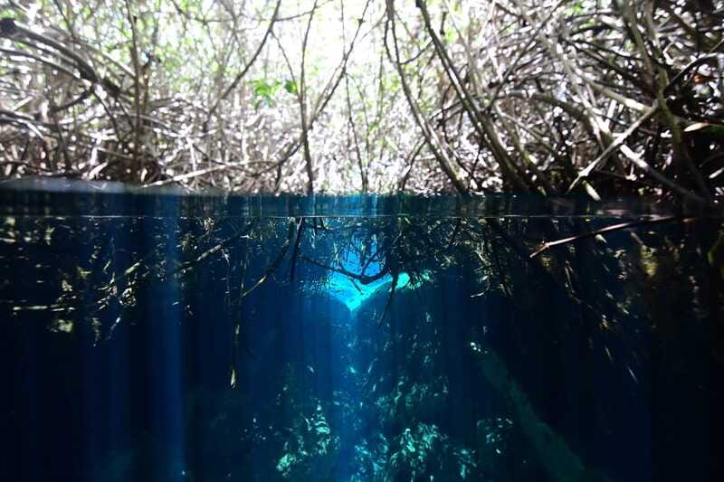 Tulum: Discover Scuba Diving in Cenotes - Price and what the $180 covers