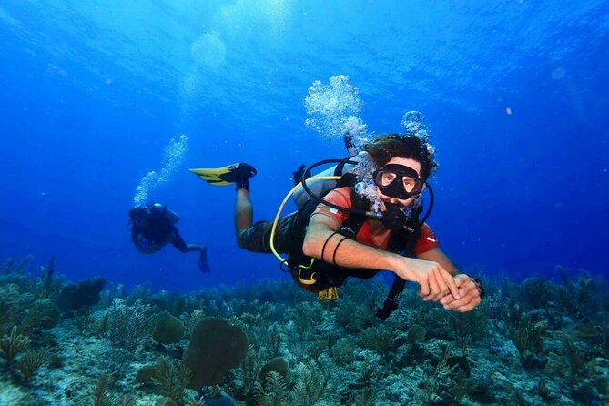 Tulum Diving (Reef) 2 Tanks - Key points at a glance