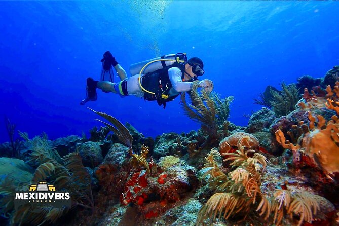 Tulum Diving (Reef) 2 Tanks - The 25-minute ride to the Mesoamerican Reef