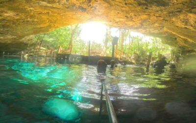 Tulum: Dos Ojos Cenote 2 Scuba Dives with Transfer Option