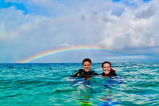 Turtle & Shark Scuba Dive in Lahaina: Certified - Key details before you book