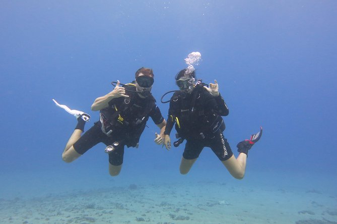 Turtle & Shark Scuba Dive in Lahaina: Certified - What the Lahaina shore entry is really like