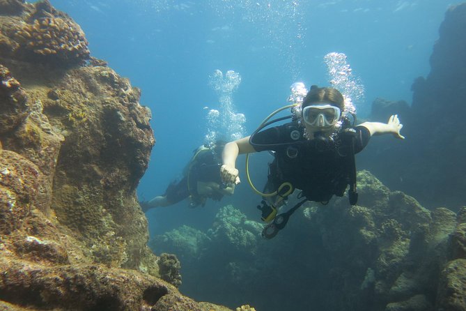 Turtle & Shark Scuba Dive in Lahaina: Certified - Why the guide can make or break the morning