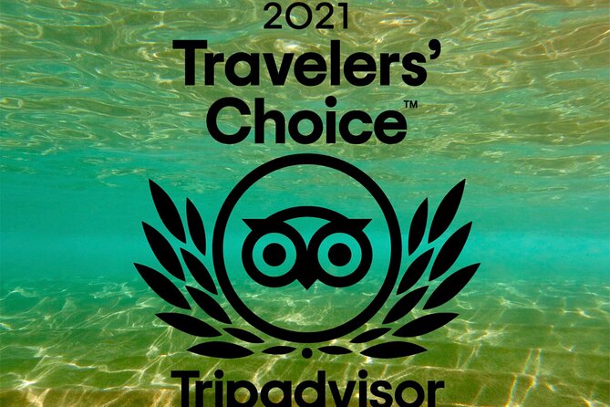 Turtle & Shark Scuba Dive in Lahaina: Certified - What changes when conditions are not perfect
