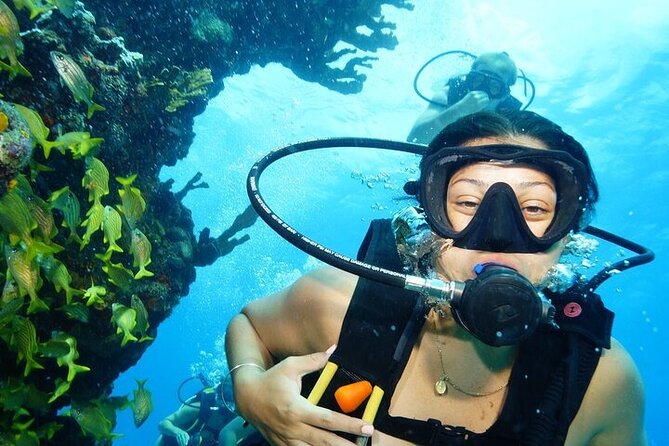 Two Dives and Class for Begginers Divers in Cancun - Five things to know before booking