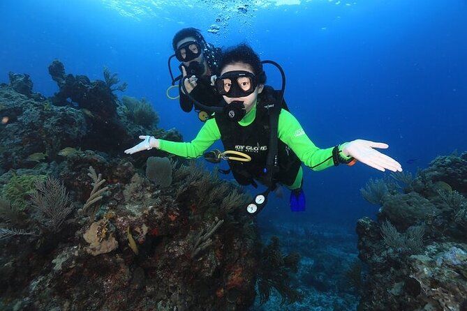 Two Dives and Class for Begginers Divers in Cancun - The staff’s strongest quality is steady support
