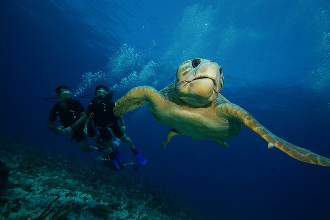Two Dives and Class for Begginers Divers in Cancun - Health, fitness, and flight rules