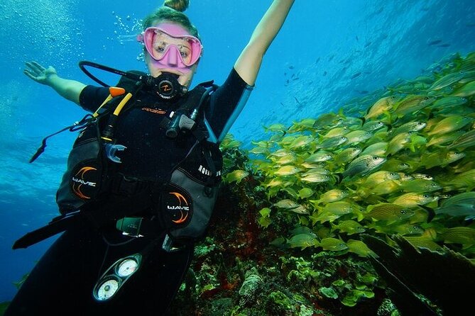 Two Dives and Class for Begginers Divers in Cancun - Who will get the most from this experience?