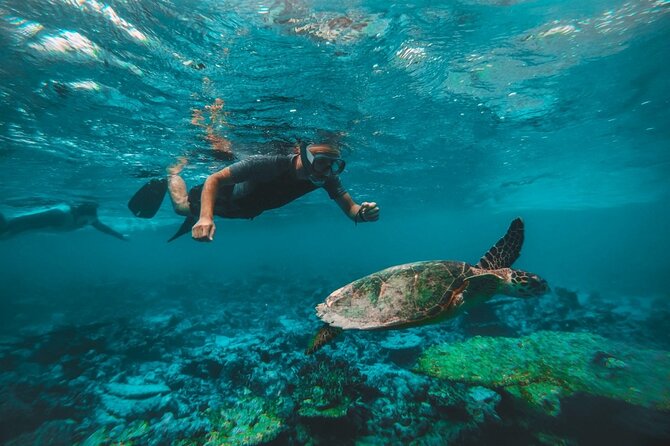 Two Dives for certified divers in Fujairah - From Dubai to Fujairah by early morning