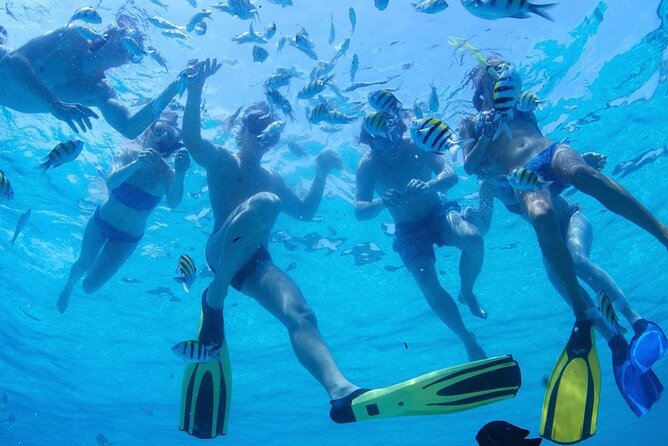Two Dives for certified divers in Fujairah - Health rules and flight timing