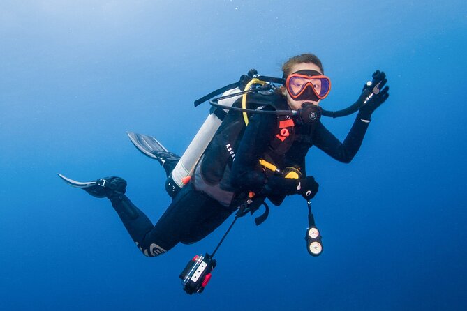 Two Dives for certified divers in Fujairah - What happens on the boat