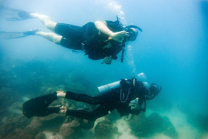 Two Fun Dives for Certified Divers in Koh Kood or Koh Rang - A six-hour morning on the water