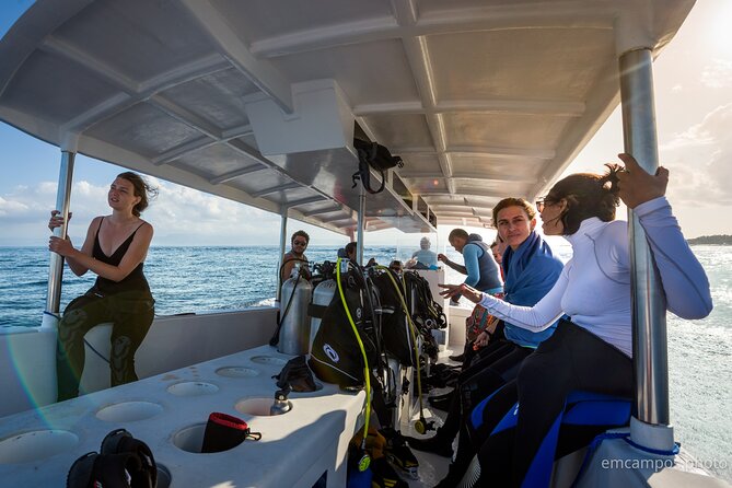 Two fun dives morning trip (Certified Divers only) - How the small group changes the experience