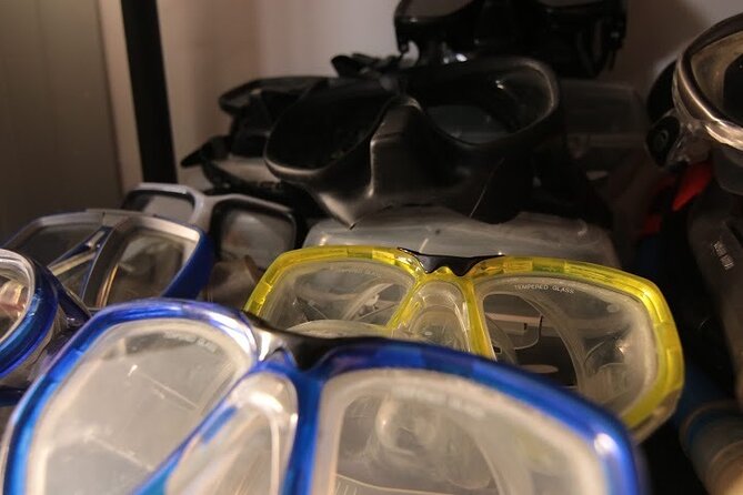 Two Morning Dives in Gozo for Certified Diver - Why this Gozo morning works well