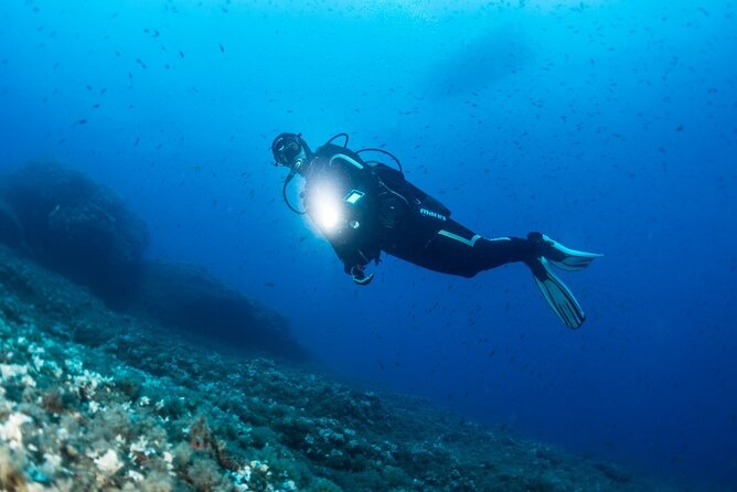 Two Morning Dives in Gozo for Certified Diver - Getting to the shore site and receiving the briefing