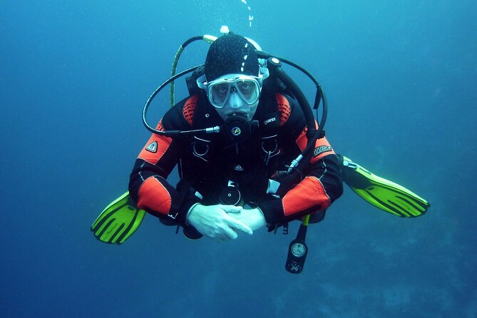 Two Morning Dives in Gozo for Certified Diver - What the $181.02 price really covers