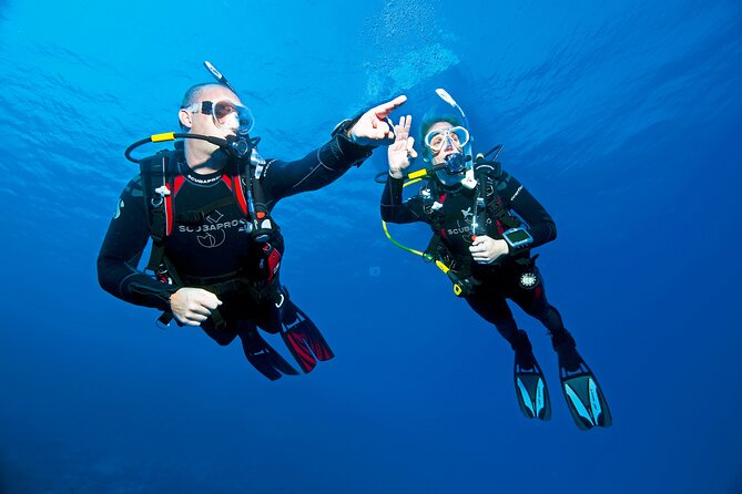 Two Morning Dives in Gozo for Certified Diver - Who should book this scuba outing