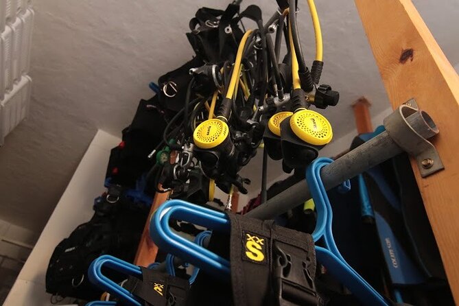 Two Morning Dives in Gozo for Certified Diver - Meeting in Marsalforn at 8 a.m.