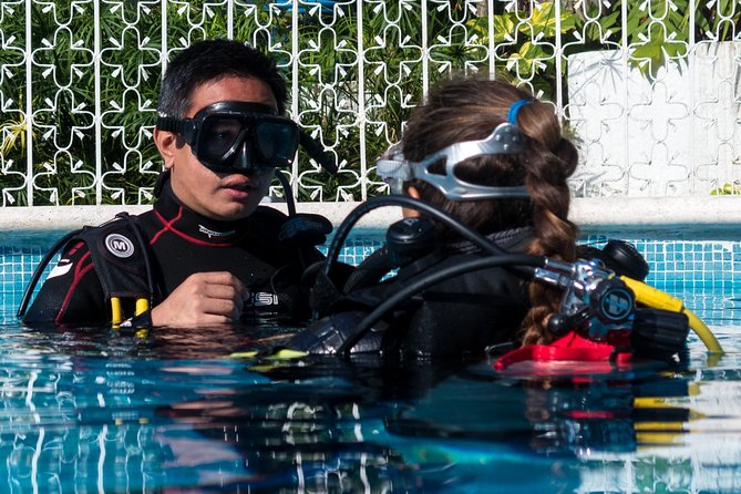 Two reef discovery dives with professional instructor (no experience necessary) - Why this Playa del Carmen experience works for beginners