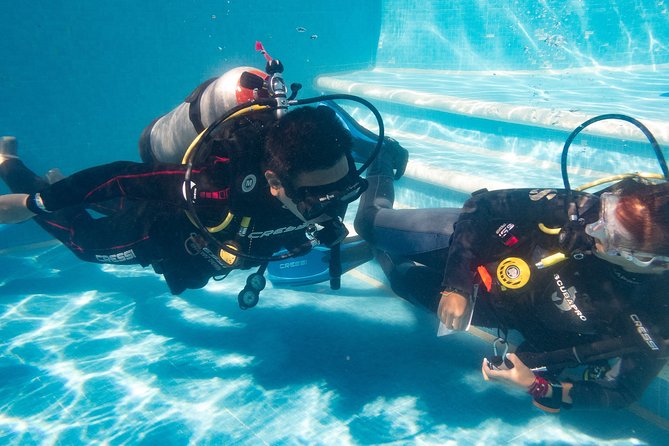 Two reef discovery dives with professional instructor (no experience necessary) - What the instructors do well