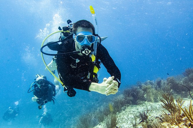 Two reef discovery dives with professional instructor (no experience necessary) - Lunch break before the boat ride