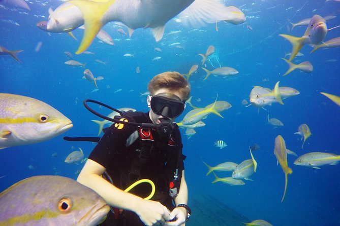 Two-Tank Dive for Certified Diving in St Thomas - Who Will Like This Trip Most?
