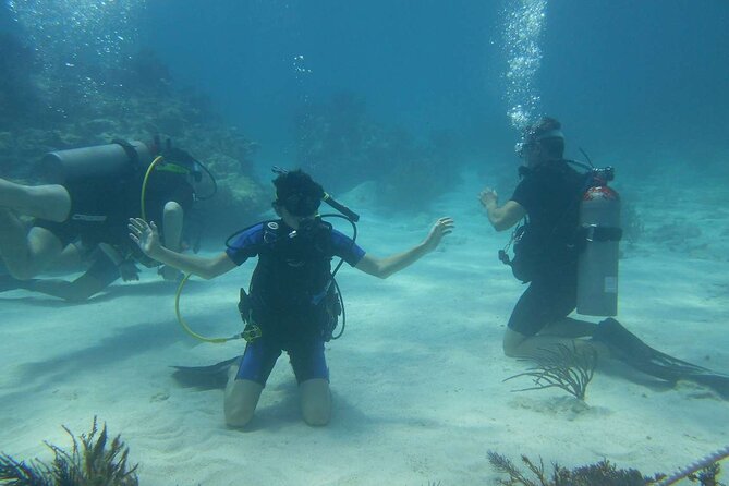 Two Tank Dive in Montego Bay w/Certified Divers - Meeting at Sunset Beach at 8:00 am