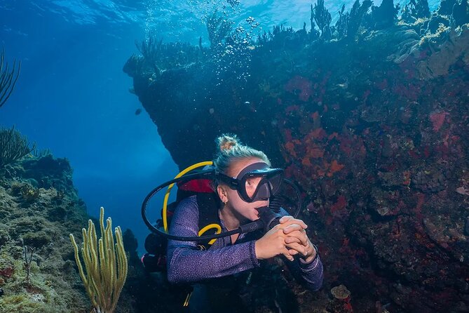 Two-Tank Morning Dive Trip for Certified Divers - Between sessions, the boat matters
